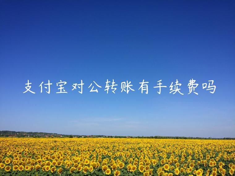 支付寶對公轉(zhuǎn)賬有手續(xù)費(fèi)嗎